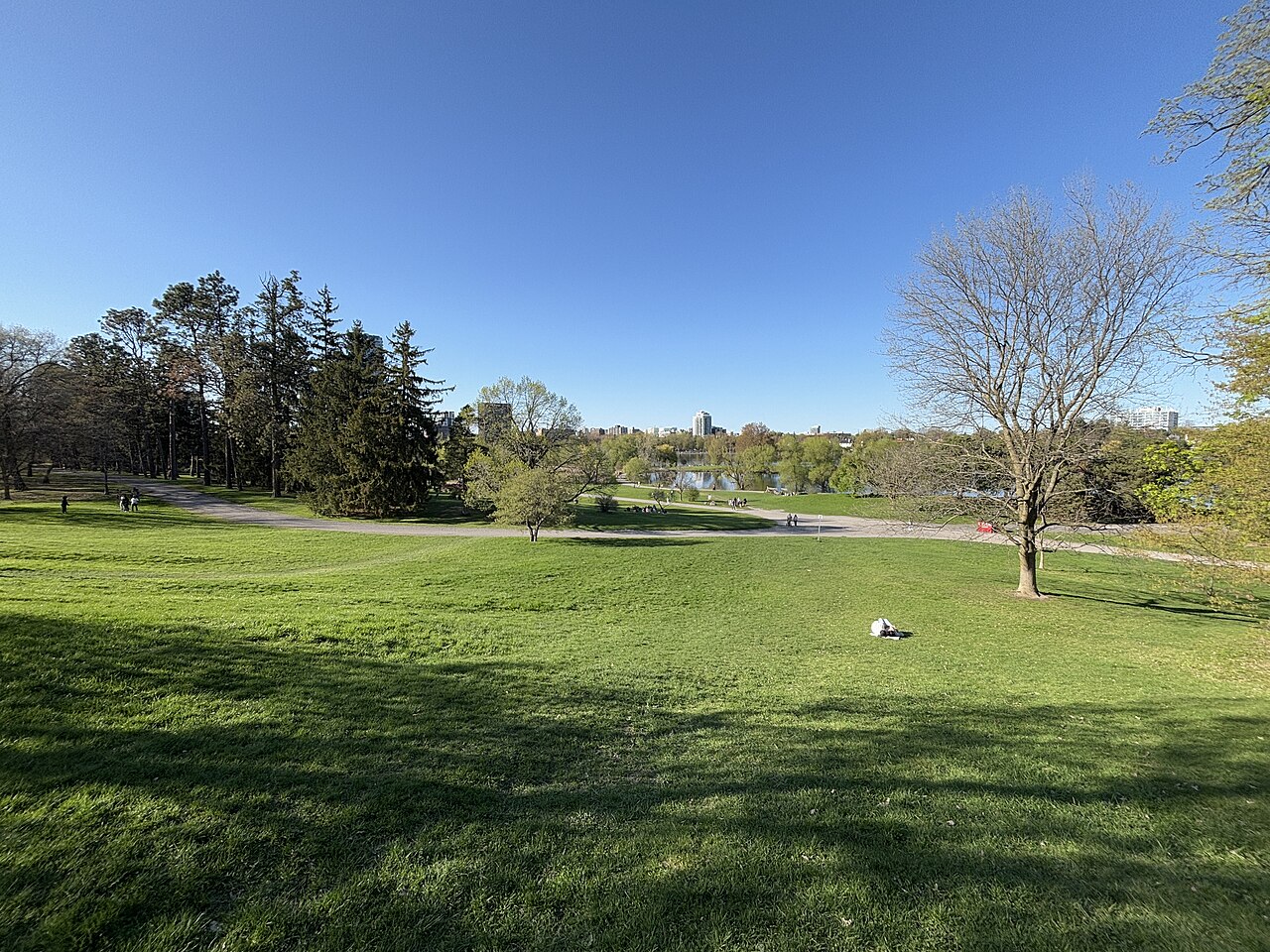 Dominion Arboretum
